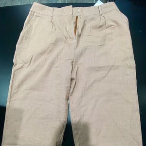Forever 21 dress pants Sz L tan pin stripped NWT